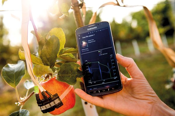 agritech - www.israele360.com