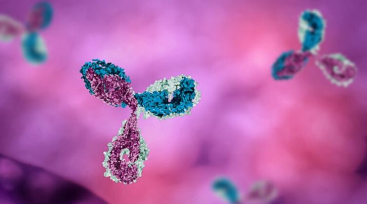 I ricercatori israeliani isolano l’anticorpo del covid19