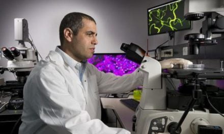 Israele: la tecnologia che trasforma acqua in un disinfettante