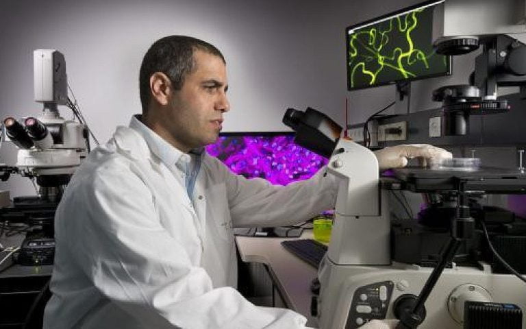 israele - israele360.com