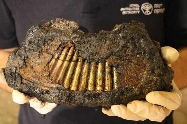 armi giordane - israele360.com