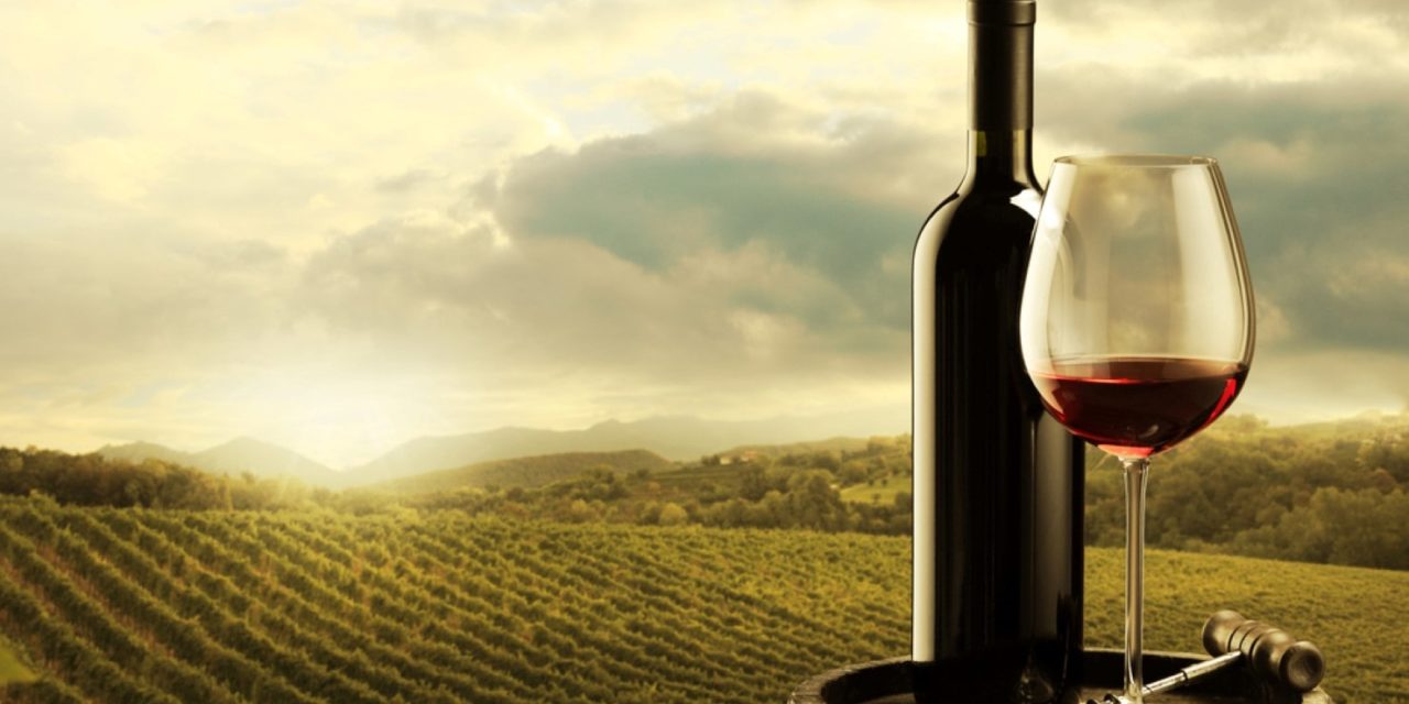 Il vino israeliano sugli scaffali degli Emirati