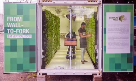Israele: con Vertical Field si potranno acquistare prodotti coltivati in loco