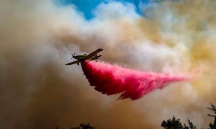 Incendio vicino a Gerusalemme