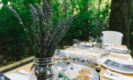 Pesach é alle porte, storia, tradizione e cucina